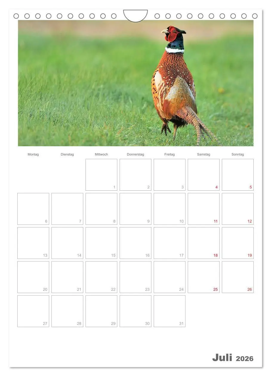 Bild: 9783516488555 | Rehe &amp; Co / Planer (Wandkalender 2026 DIN A4 hoch), CALVENDO...