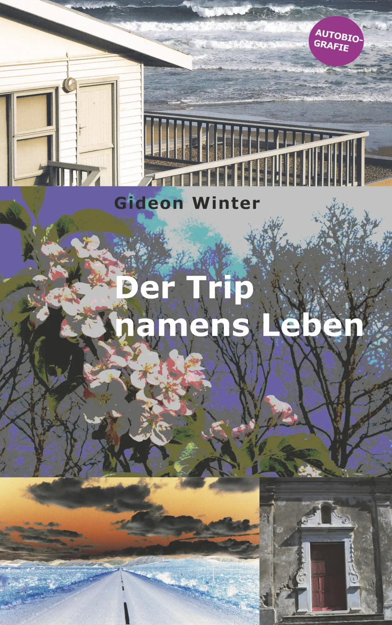Cover: 9783749448555 | Der Trip namens Leben | Autobiografie | Gideon Winter | Taschenbuch