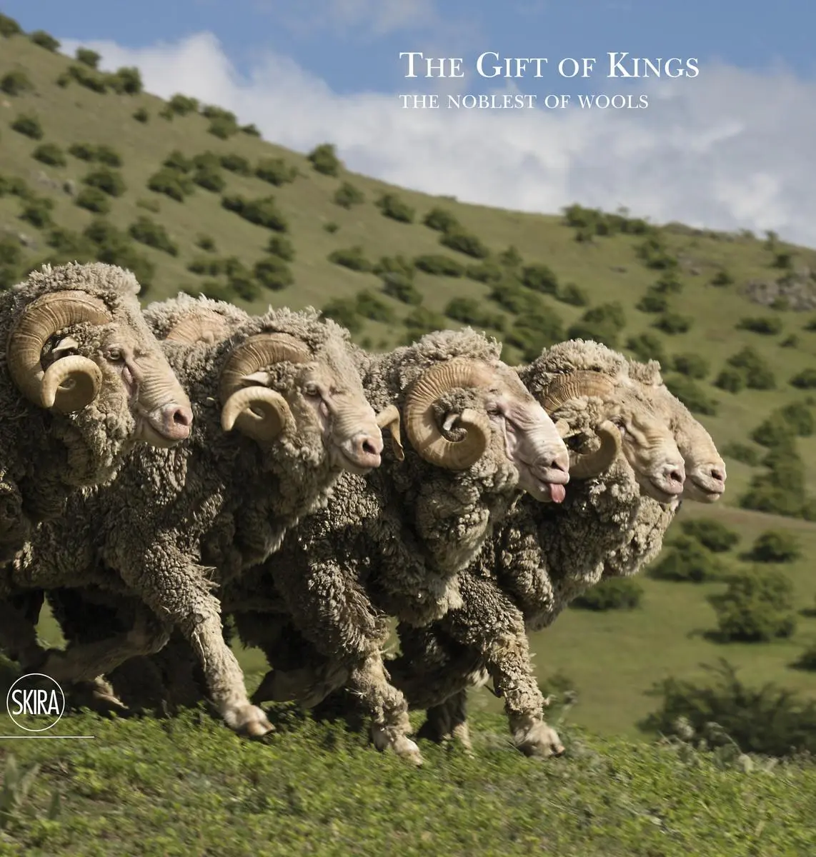Cover: 9788857238555 | The Gift of Kings: The Noblest of Wools | Loro Piana | Buch | Englisch