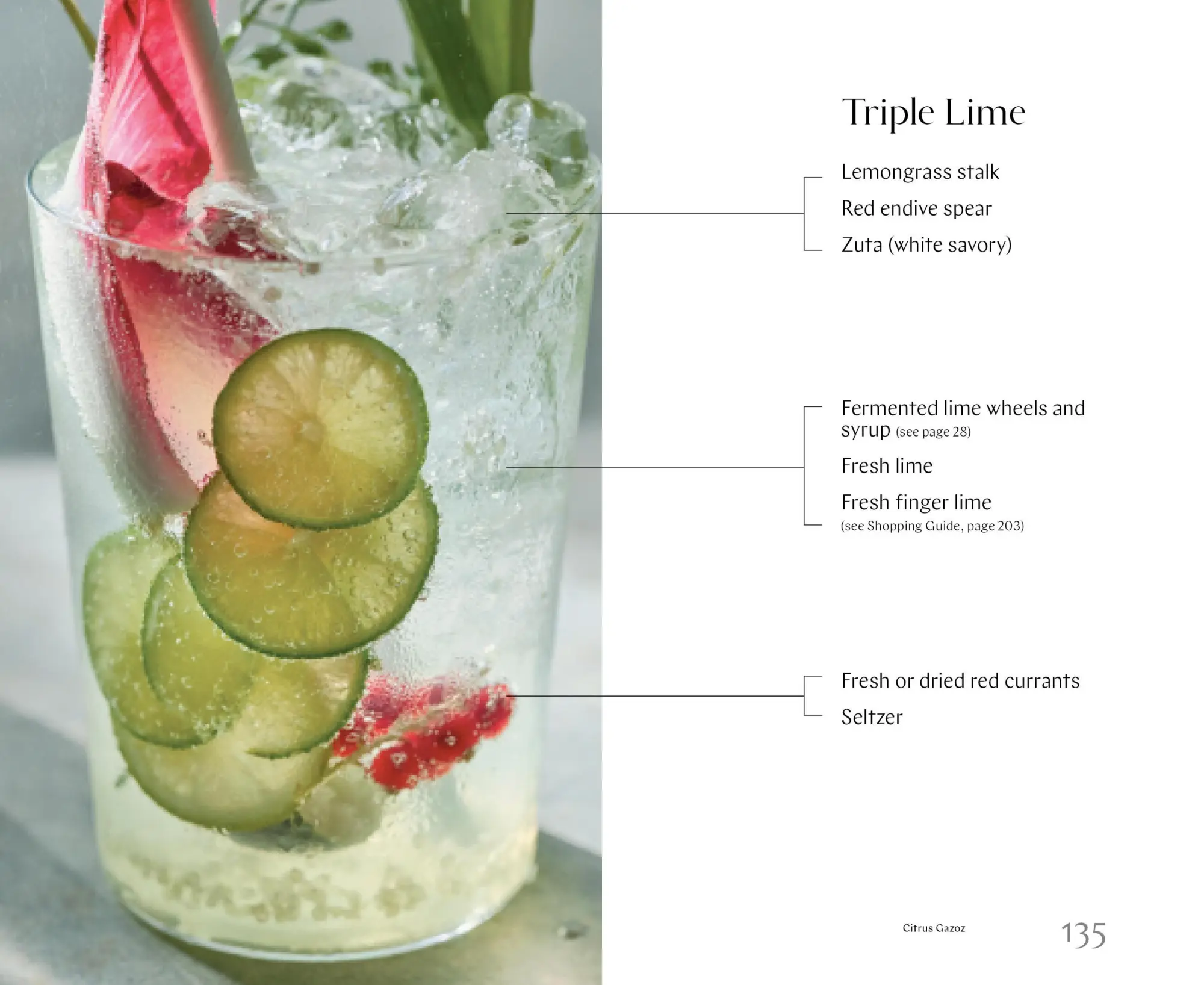 Bild: 9781579658755 | Gazoz | The Art of Making Magical, Seasonal Sparkling Drinks | Buch