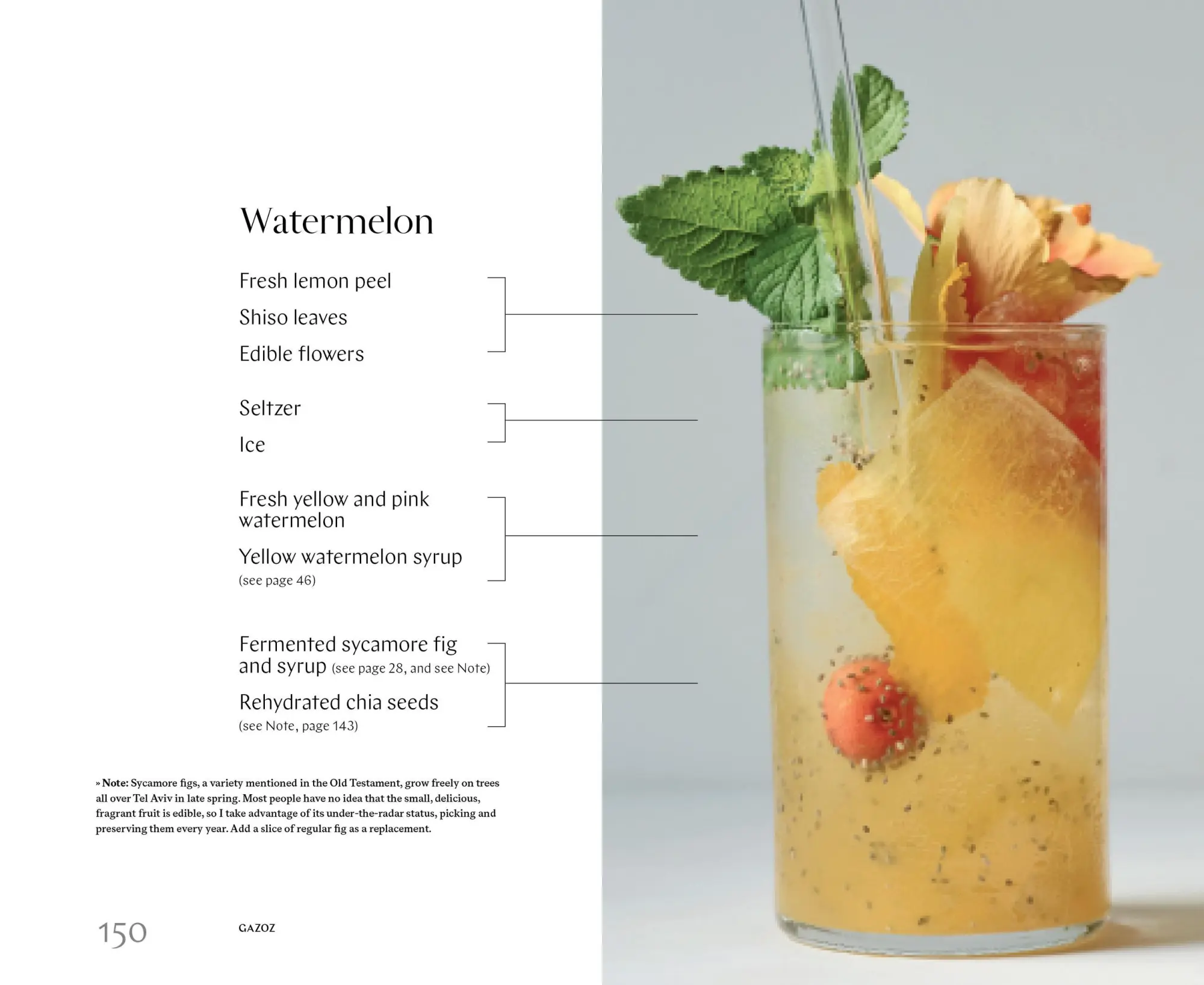 Bild: 9781579658755 | Gazoz | The Art of Making Magical, Seasonal Sparkling Drinks | Buch