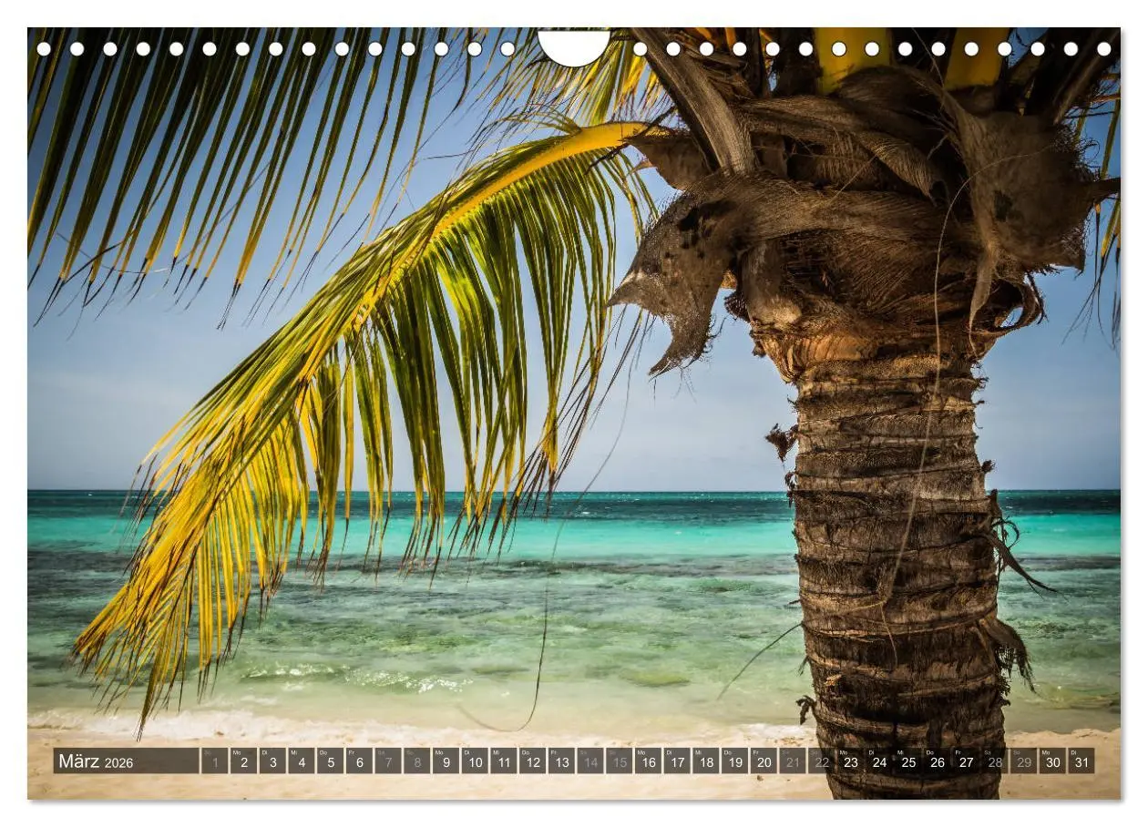 Bild: 9783516088755 | Kuba Nostalgie 2026 (Wandkalender 2026 DIN A4 quer), CALVENDO...