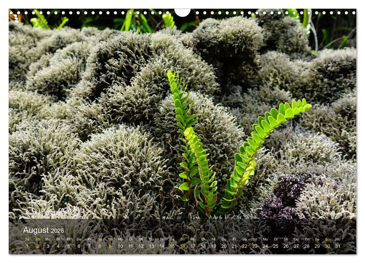 Bild: 9783457249055 | La Reunion - Traumhafte Küsten und Hochgebirge (Wandkalender 2026...
