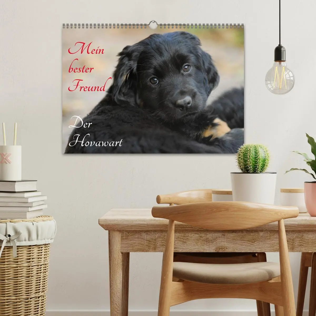 Bild: 9783516029055 | Mein bester Freund - Der Hovawart (Wandkalender 2026 DIN A3 quer),...