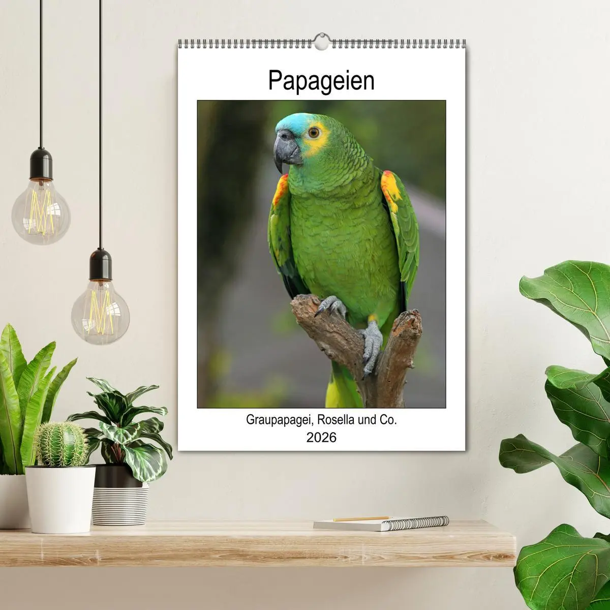 Bild: 9783516409055 | Papageien - Graupapagei, Rosella und Co. (Wandkalender 2026 DIN A2...