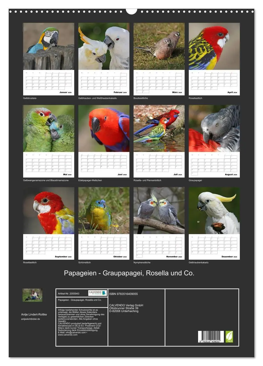 Bild: 9783516409055 | Papageien - Graupapagei, Rosella und Co. (Wandkalender 2026 DIN A2...