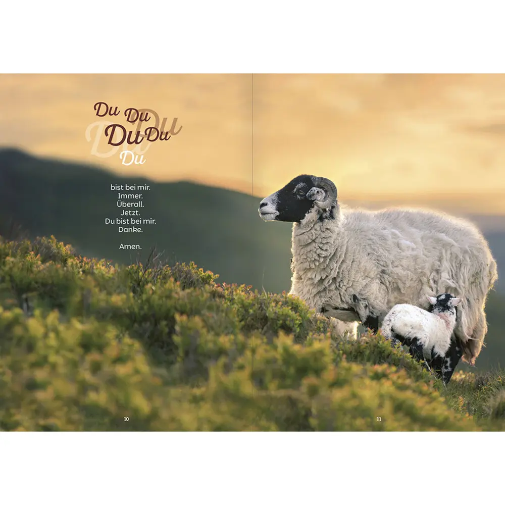 Bild: 9783863389055 | Nichts wird mir mangeln | Texte und Meditationen zu Psalm 23 | Hansen