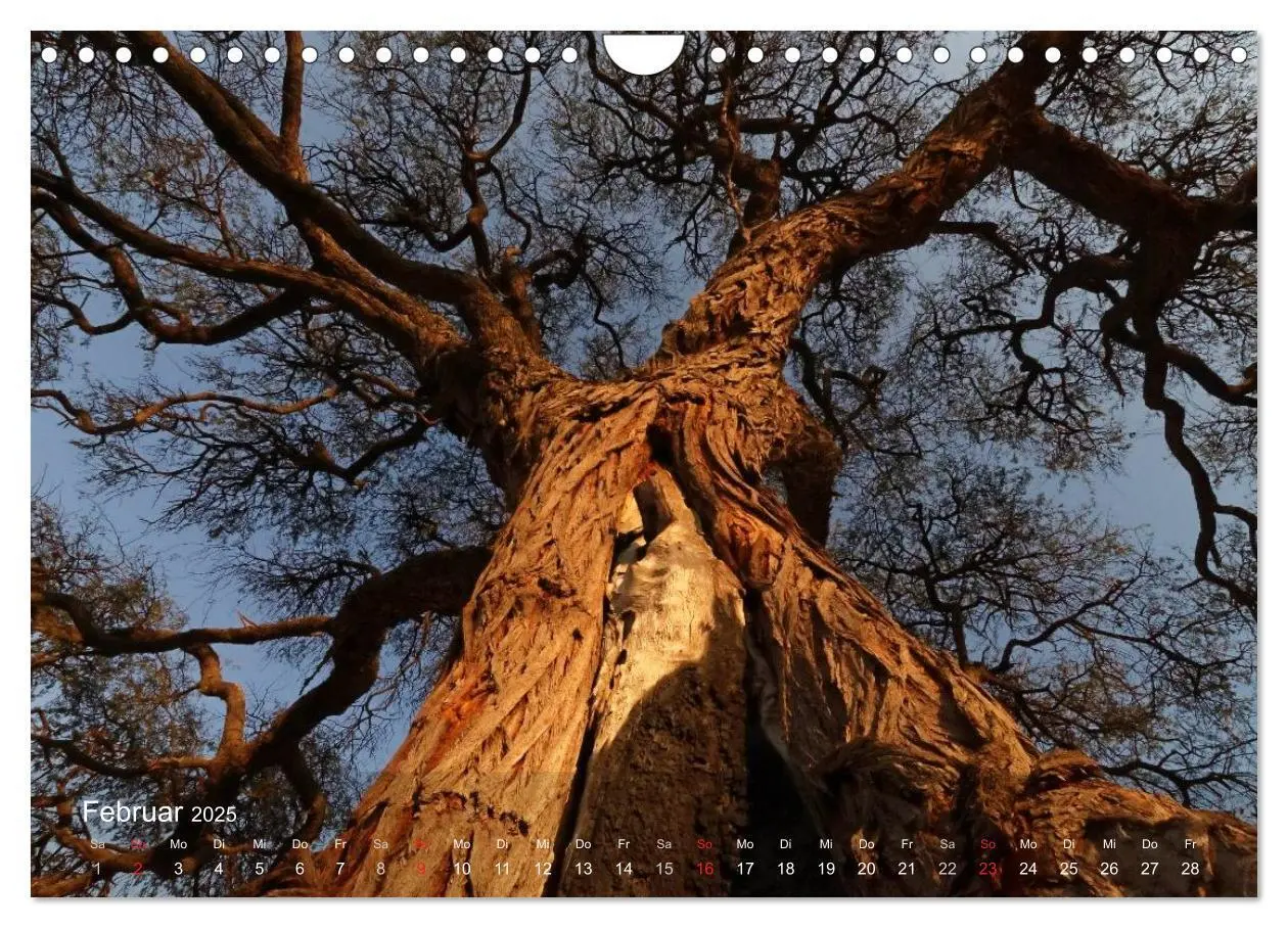 Bild: 9783435769155 | Zimbabwe (Wandkalender 2025 DIN A4 quer), CALVENDO Monatskalender