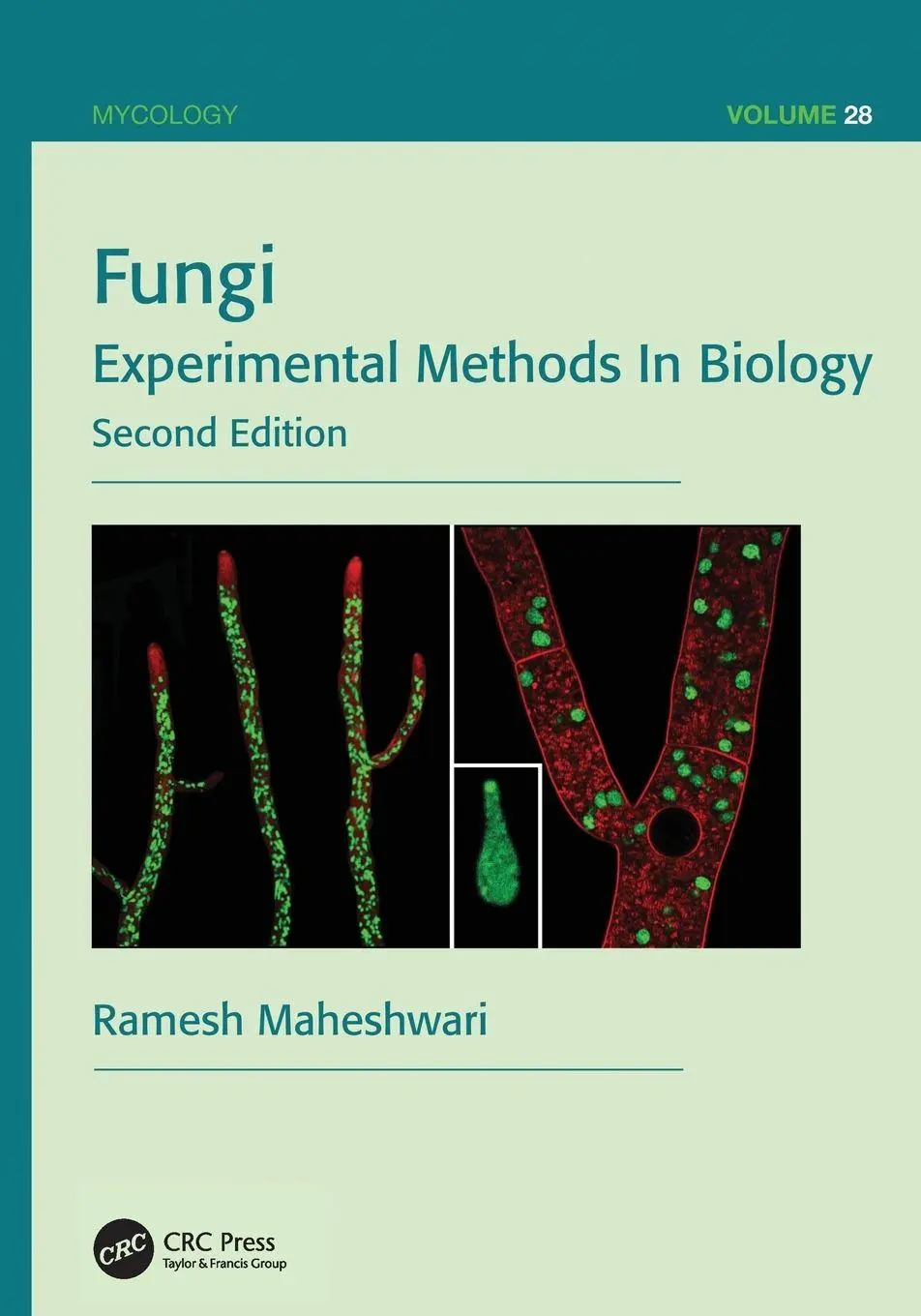 Cover: 9781138199255 | Fungi | Experimental Methods In Biology, Second Edition | Maheshwari