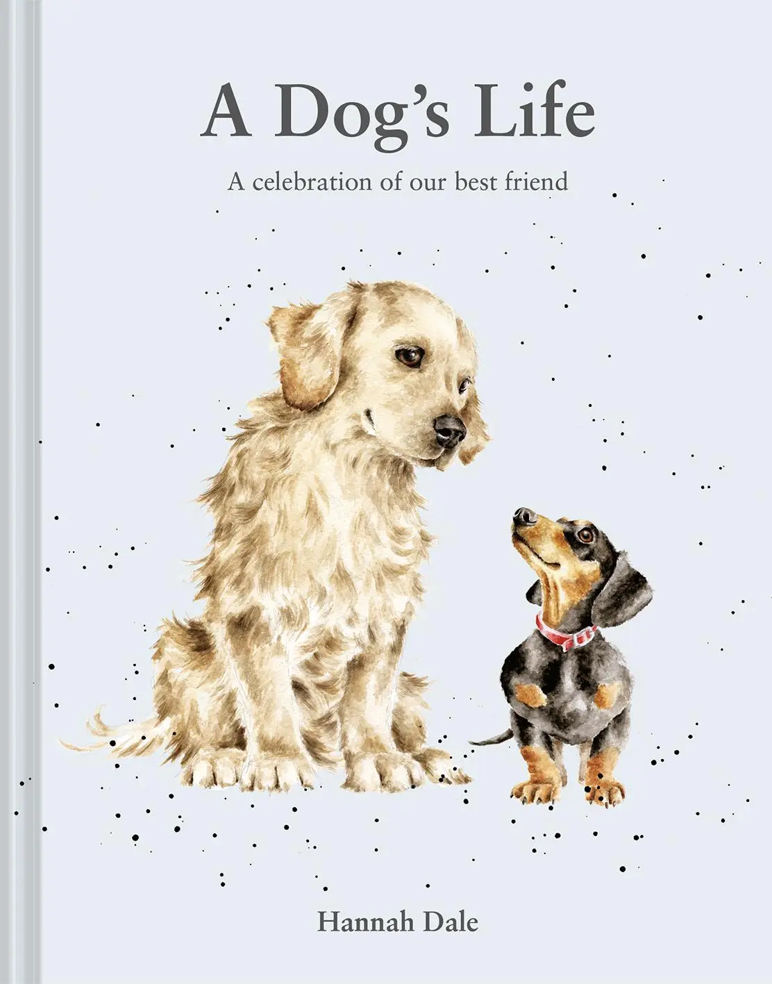 Cover: 9781849949255 | A Dog's Life | A Celebration of Our Best Friend | Hannah Dale | Buch
