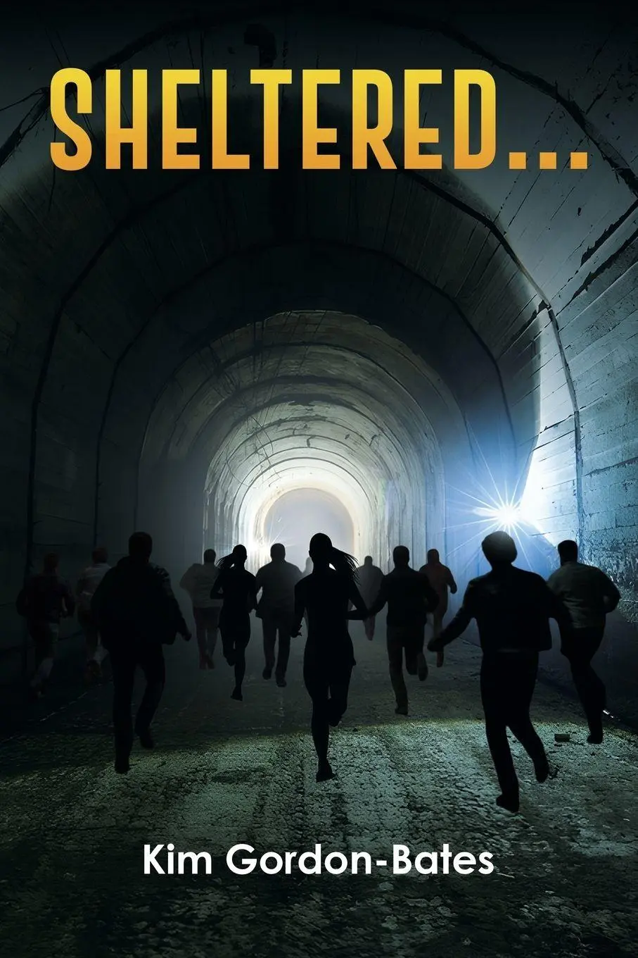 Cover: 9781037109355 | Sheltered... | Kim Gordon-Bates | Taschenbuch | Englisch | 2026