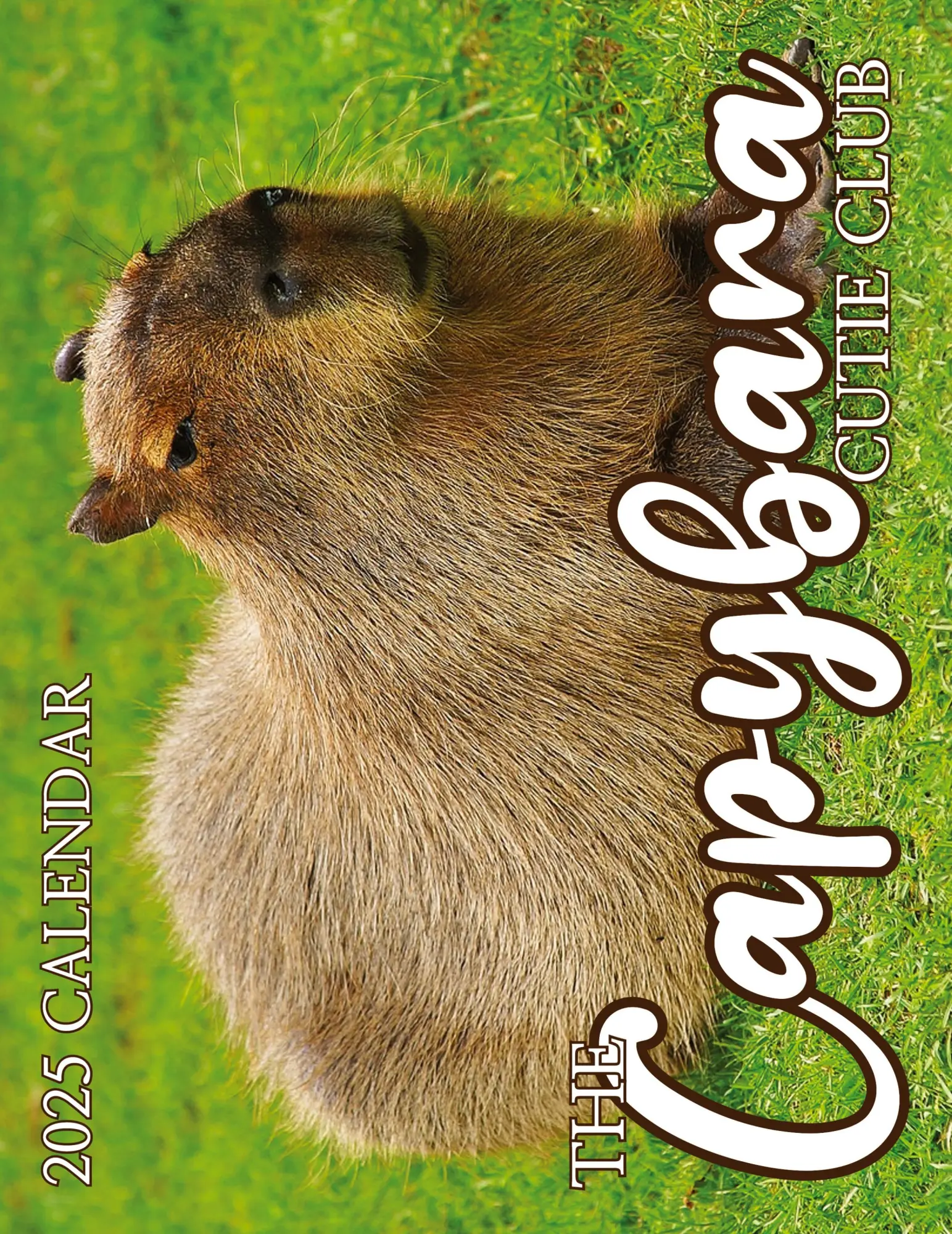 Cover: 9781959209355 | The Capybara Cutie Club 2025 Calendar | B. Patrick | Taschenbuch