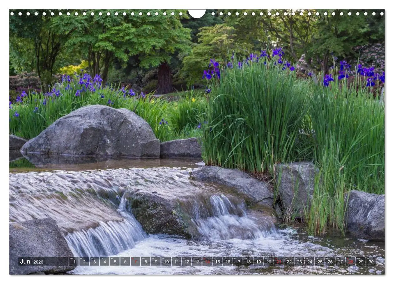Bild: 9783457909355 | Feng Shui Farben - Element Wasser (Wandkalender 2026 DIN A3 quer),...