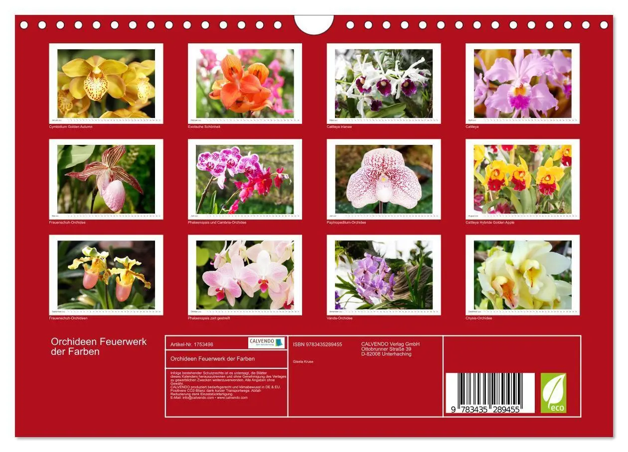 Bild: 9783435289455 | Orchideen Feuerwerk der Farben (Wandkalender 2025 DIN A4 quer),...