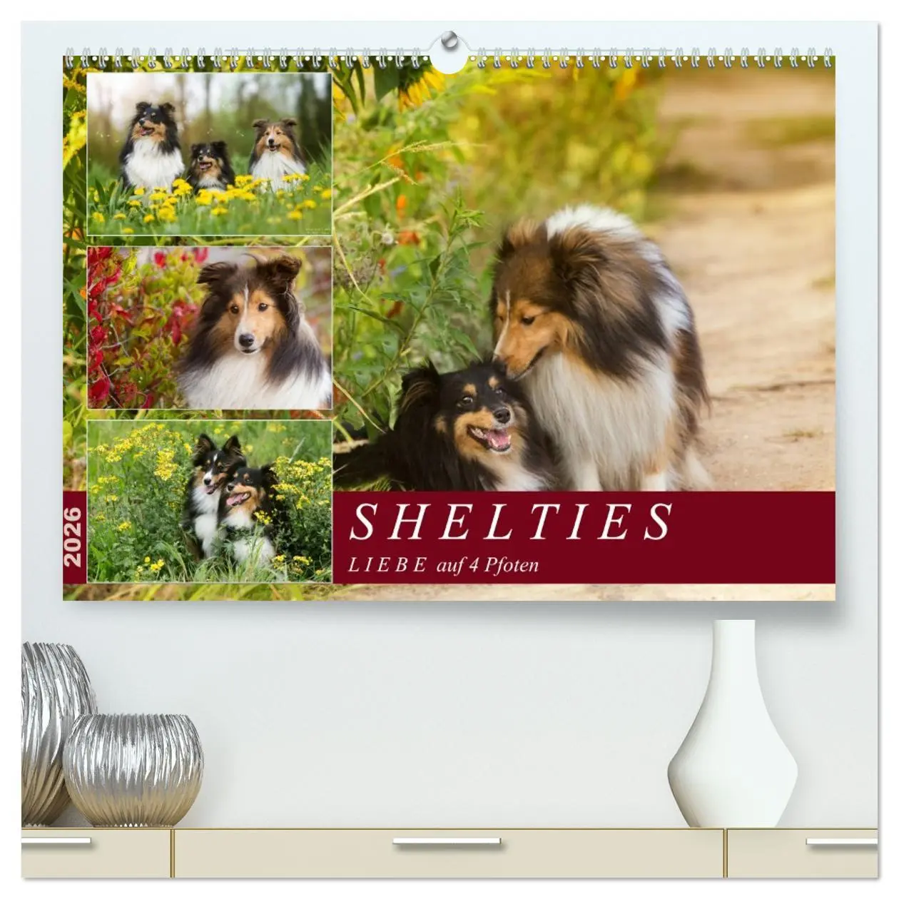 Cover: 9783457759455 | SHELTIES Liebe auf 4 Pfoten (hochwertiger Premium Wandkalender 2026...