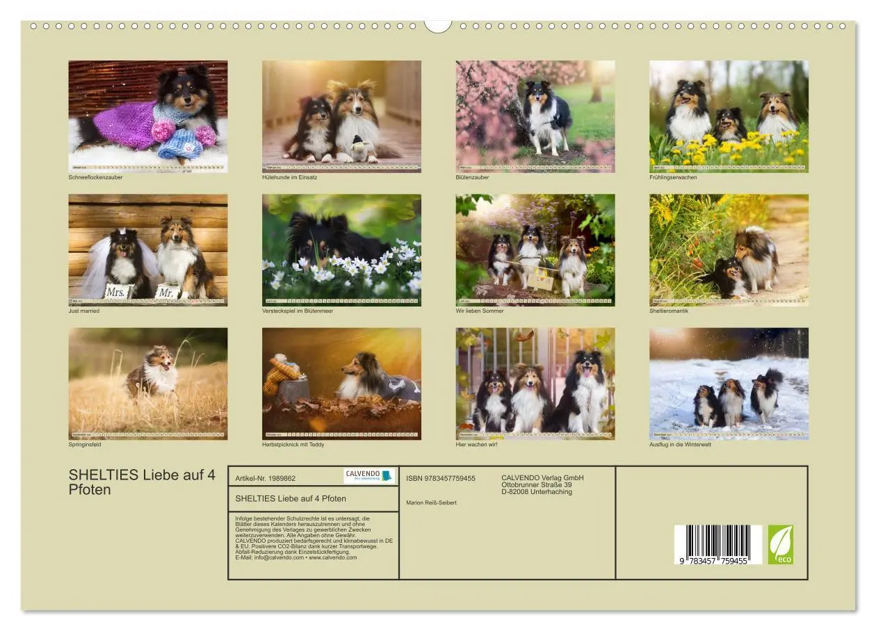 Bild: 9783457759455 | SHELTIES Liebe auf 4 Pfoten (hochwertiger Premium Wandkalender 2026...