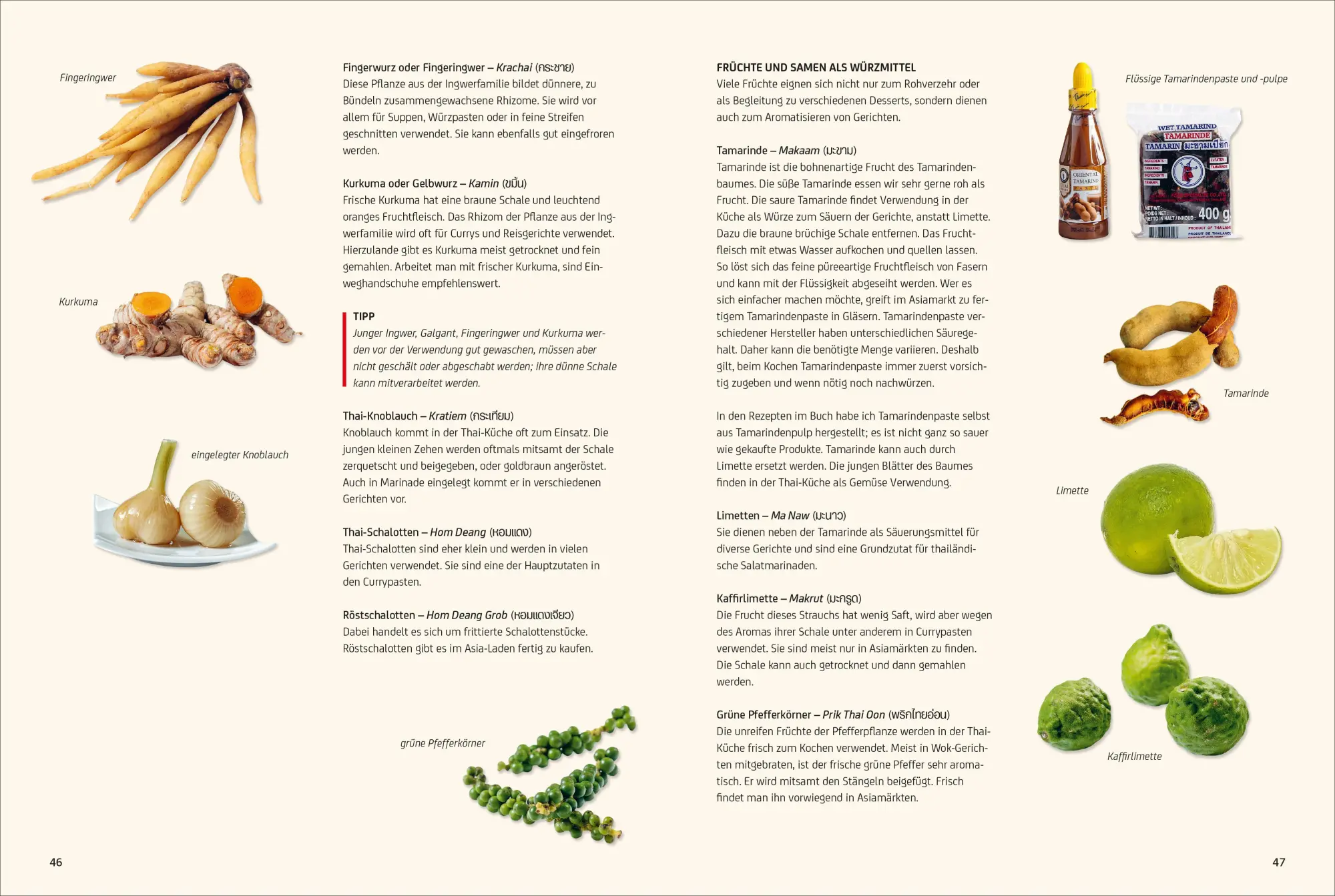 Bild: 9783959619455 | Vegan Thai | 65 vegane Köstlichkeiten aus dem Land des Lächelns | Buch