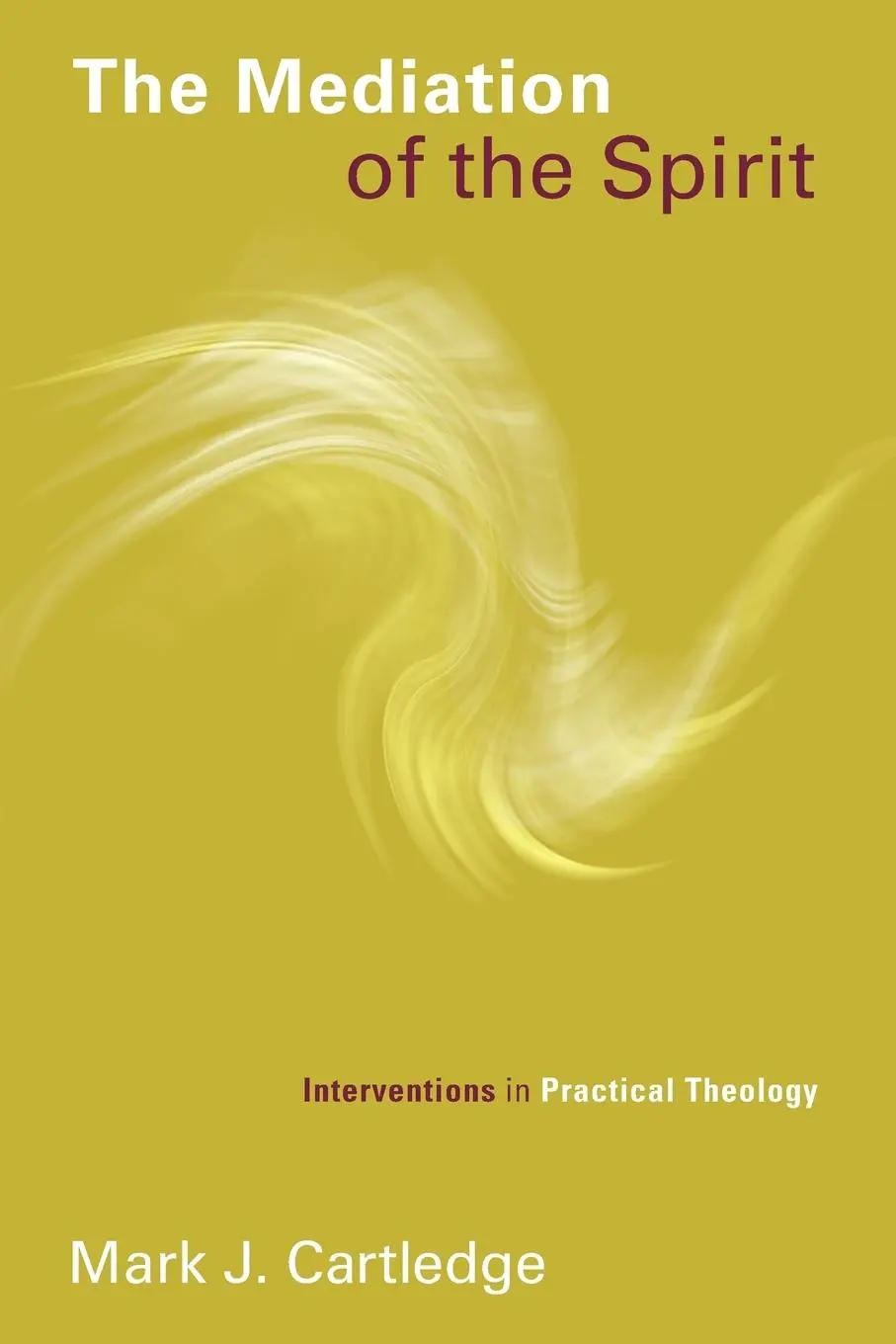 Cover: 9780802869555 | Mediation of the Spirit | Interventions in Practical Theology | Buch