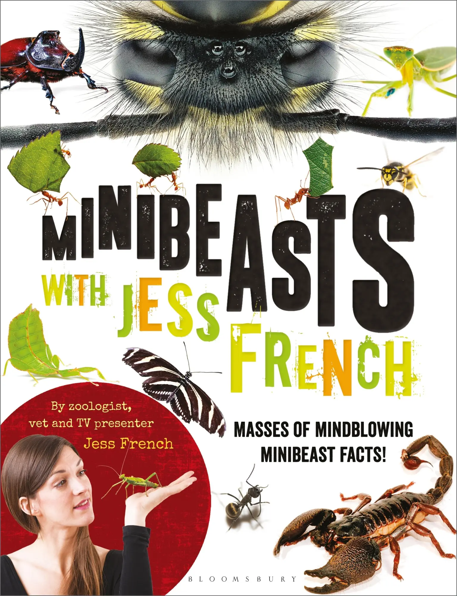 Cover: 9781472939555 | Minibeasts with Jess French | Masses of mindblowing minibeast facts!