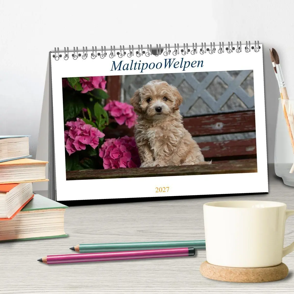 Bild: 9783569479555 | Maltipoo Welpen (Tischkalender 2027 DIN A5 quer), CALVENDO...