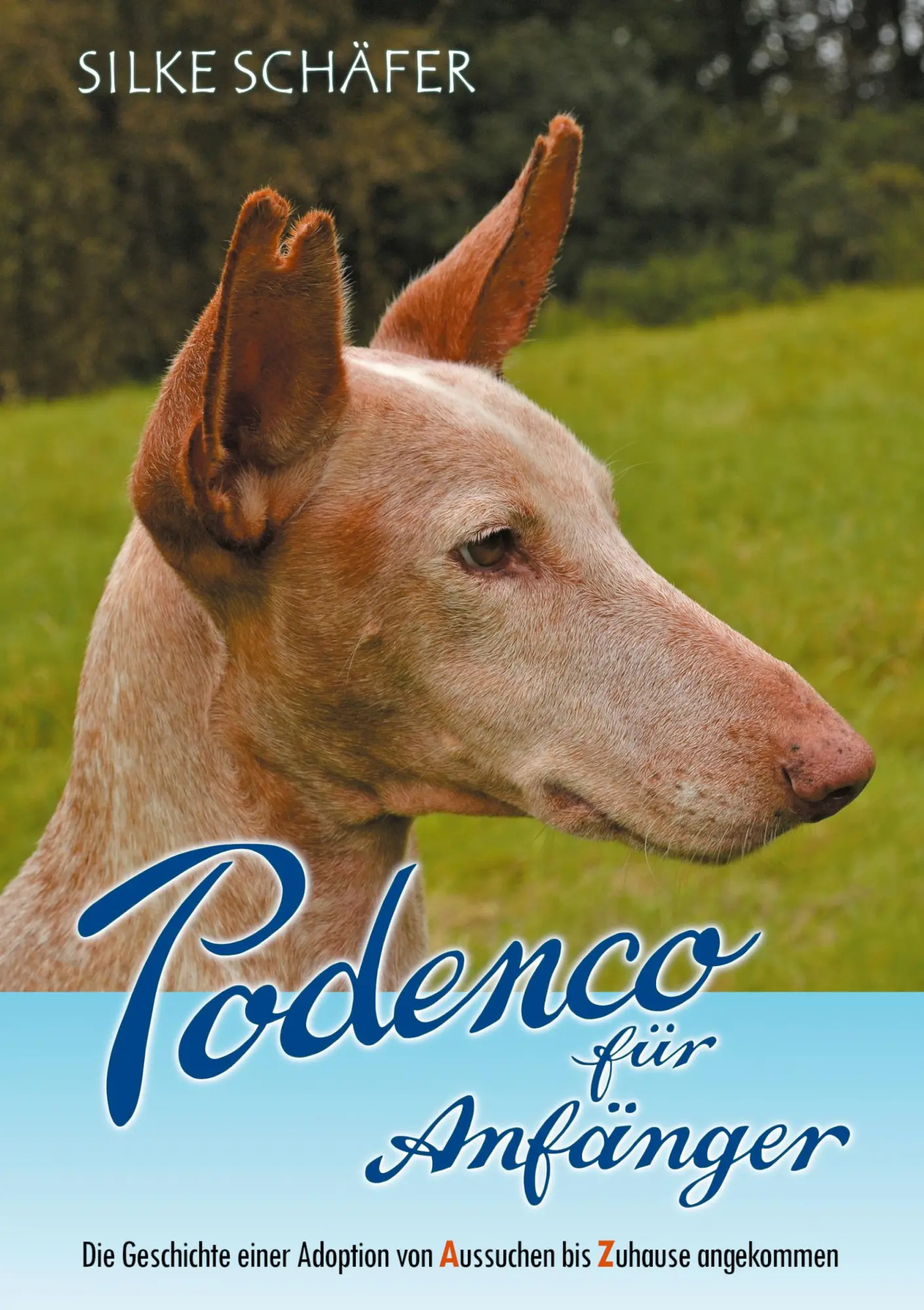 Cover: 9783755739555 | Podenco für Anfänger | Silke Schäfer | Taschenbuch | Paperback | 2021