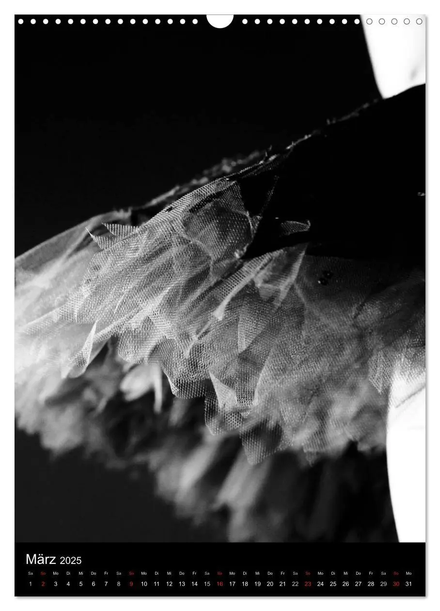 Bild: 9783457049655 | Ballett Schwarzweiss (Wandkalender 2025 DIN A3 hoch), CALVENDO...