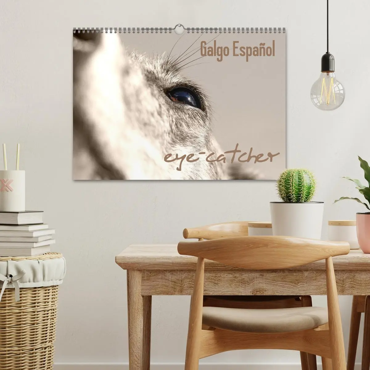 Bild: 9783457979655 | Galgo eye-catcher (Wandkalender 2026 DIN A3 quer), CALVENDO...