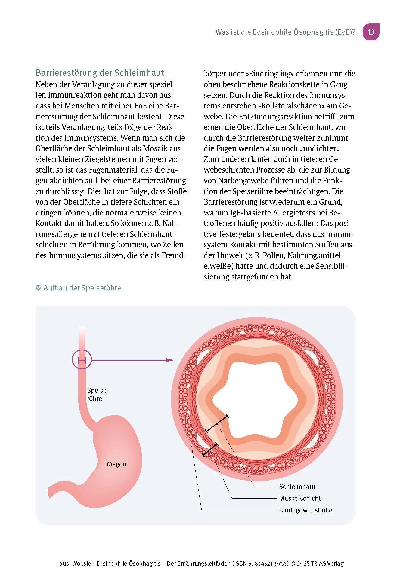 Bild: 9783432119755 | Eosinophile Ösophagitis - Der Ernährungsleitfaden | Woesler (u. a.)