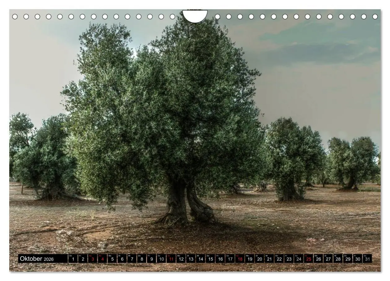Bild: 9783516059755 | Apulien - Impressionen (Wandkalender 2026 DIN A4 quer), CALVENDO...