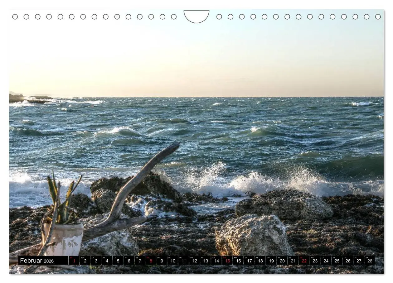 Bild: 9783516059755 | Apulien - Impressionen (Wandkalender 2026 DIN A4 quer), CALVENDO...