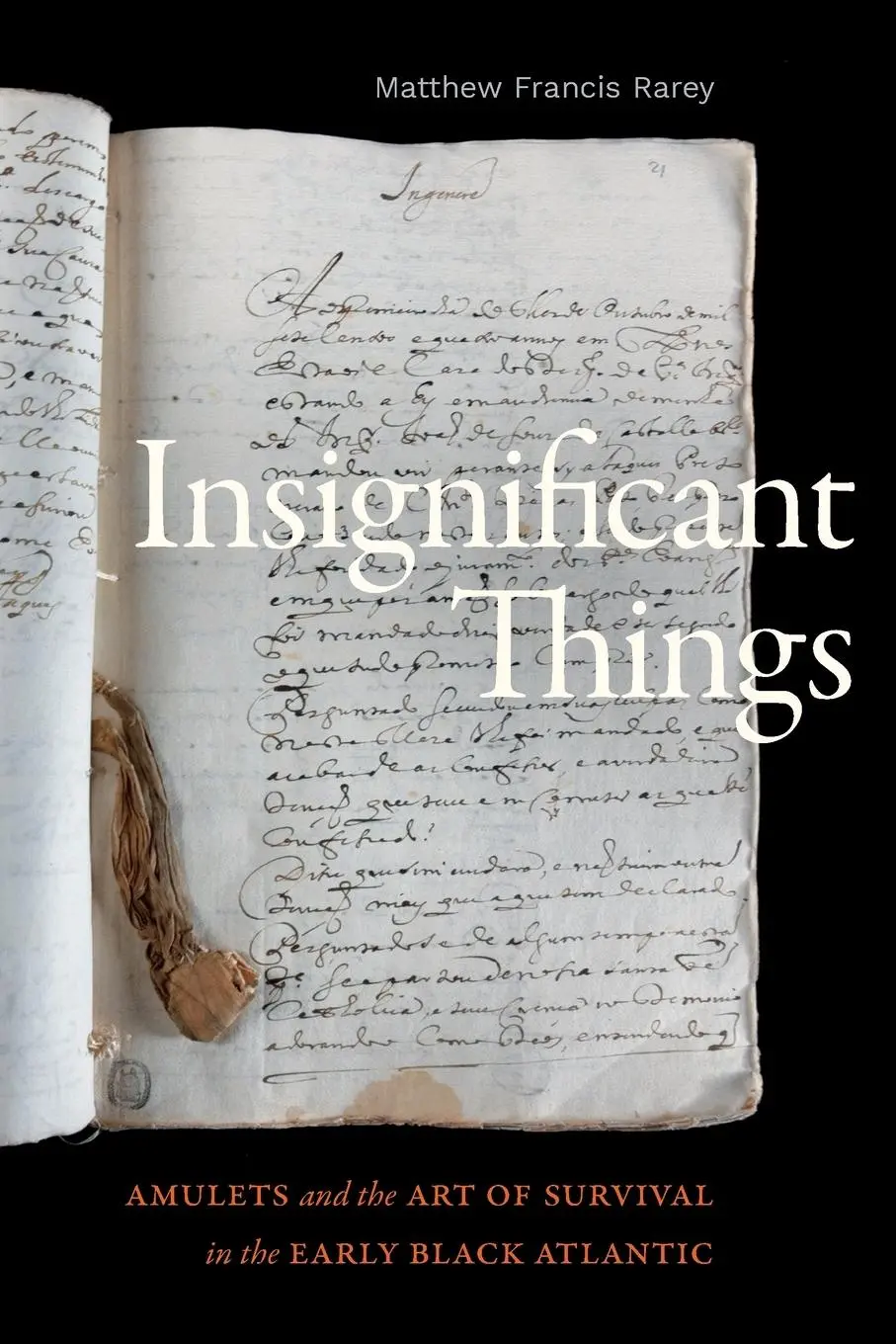 Cover: 9781478019855 | Insignificant Things | Matthew Francis Rarey | Taschenbuch | Englisch
