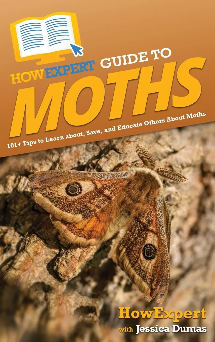 Cover: 9781648919855 | HowExpert Guide to Moths | Howexpert (u. a.) | Buch | Englisch | 2023