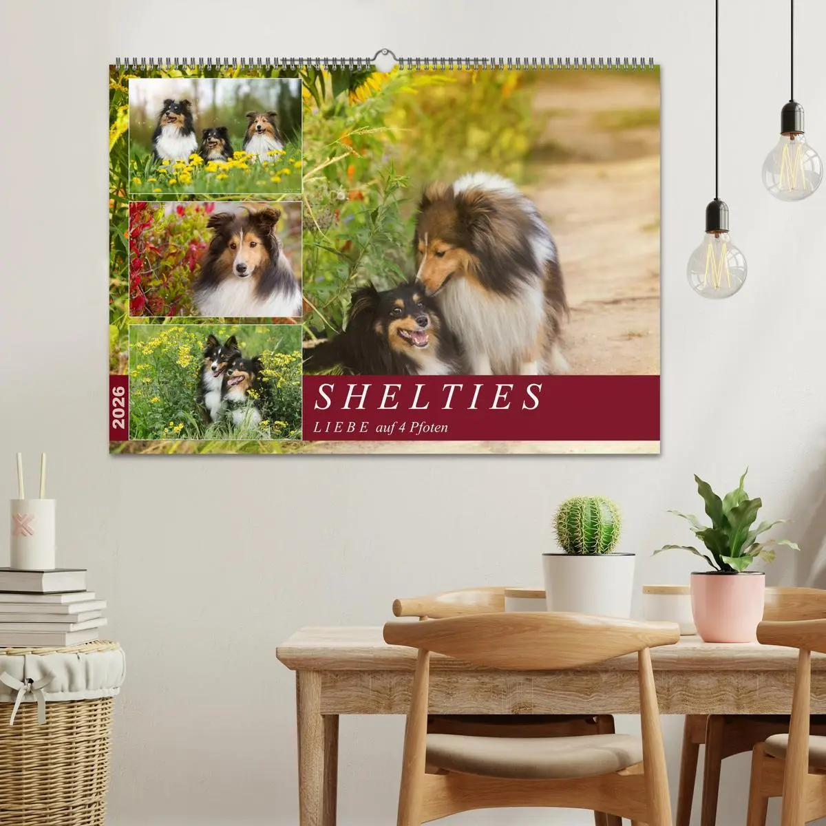 Bild: 9783457889855 | SHELTIES Liebe auf 4 Pfoten (Wandkalender 2026 DIN A2 quer),...