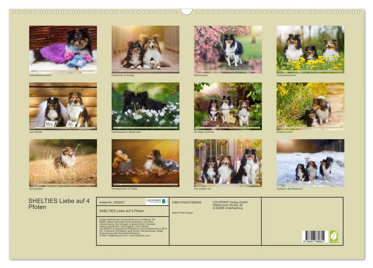 Bild: 9783457889855 | SHELTIES Liebe auf 4 Pfoten (Wandkalender 2026 DIN A2 quer),...