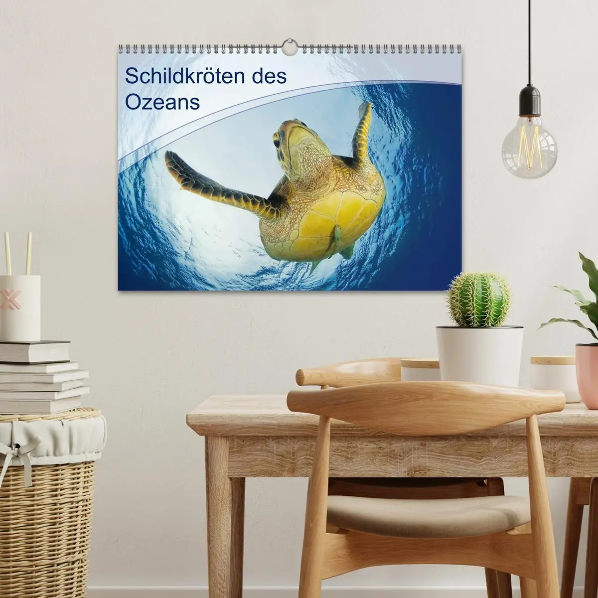Bild: 9783516049855 | Schildkröten des Ozeans (Wandkalender 2026 DIN A3 quer), CALVENDO...