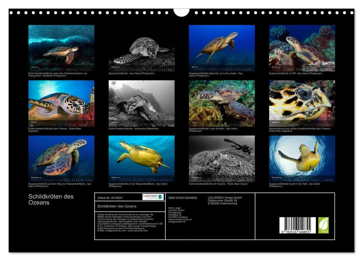 Bild: 9783516049855 | Schildkröten des Ozeans (Wandkalender 2026 DIN A3 quer), CALVENDO...