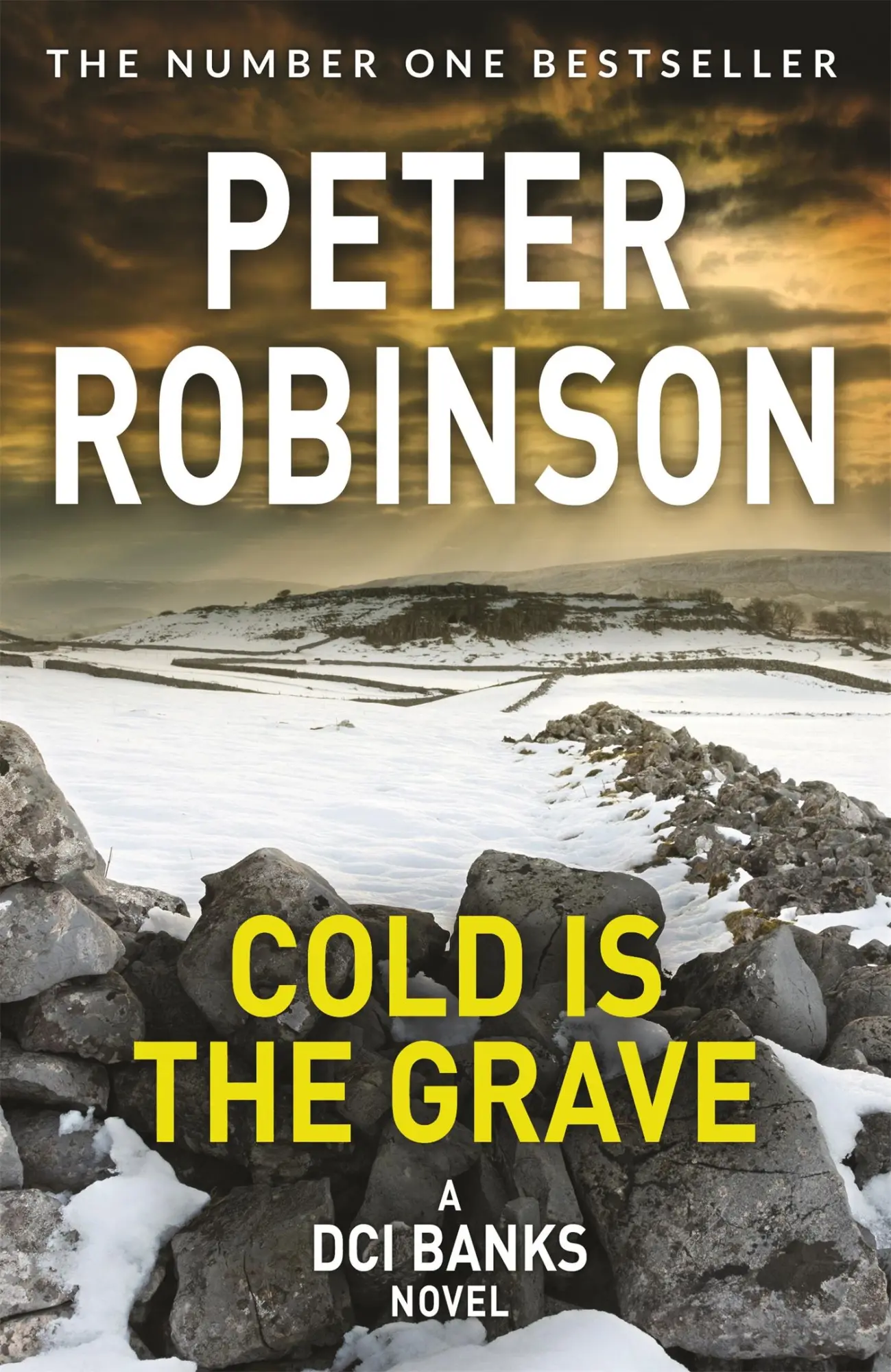 Cover: 9781509859955 | Cold is the Grave | Peter Robinson | Taschenbuch | Englisch | 2020