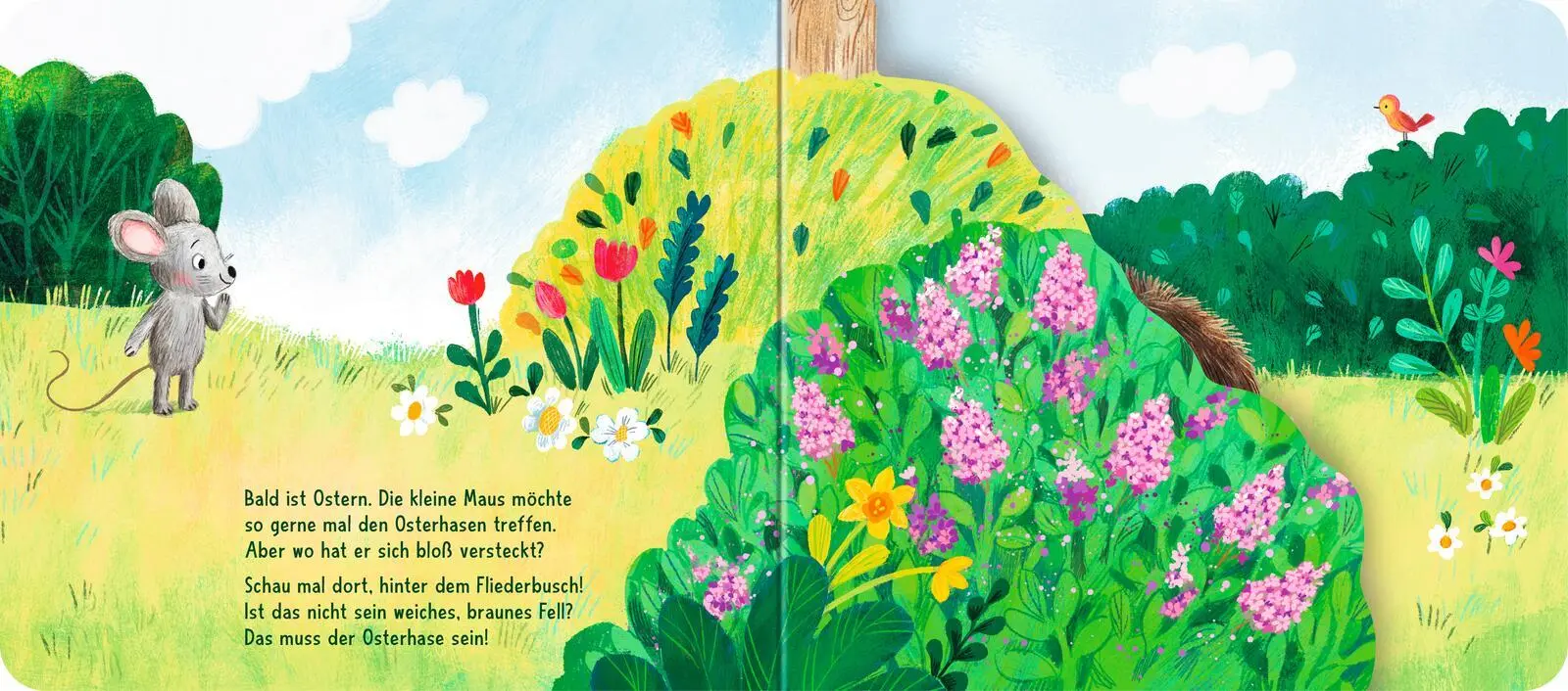Bild: 9783480239955 | Wo bist du, kleiner Osterhase? | Sylvia Tress (u. a.) | Buch | 18 S.