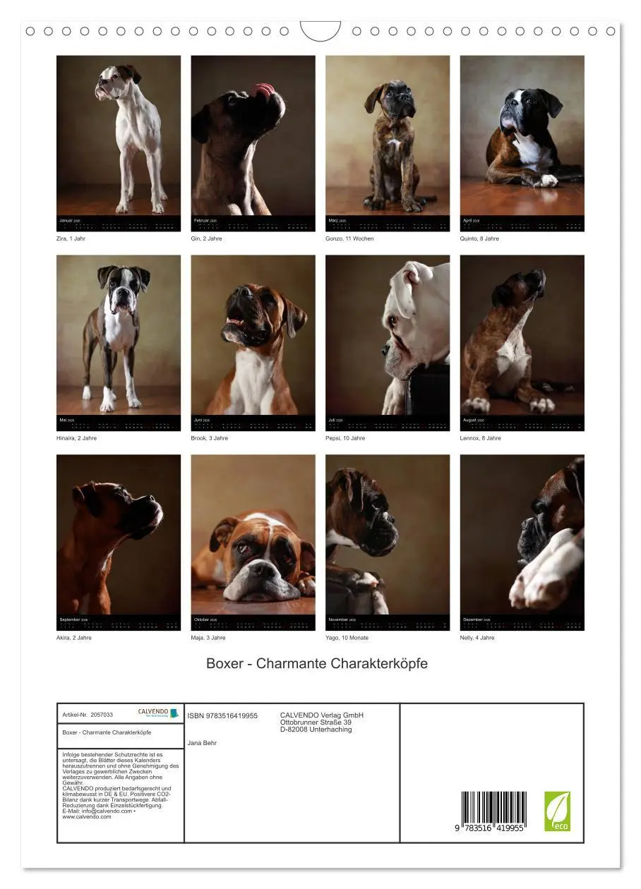 Bild: 9783516419955 | Boxer - Charmante Charakterköpfe (Wandkalender 2026 DIN A3 hoch),...