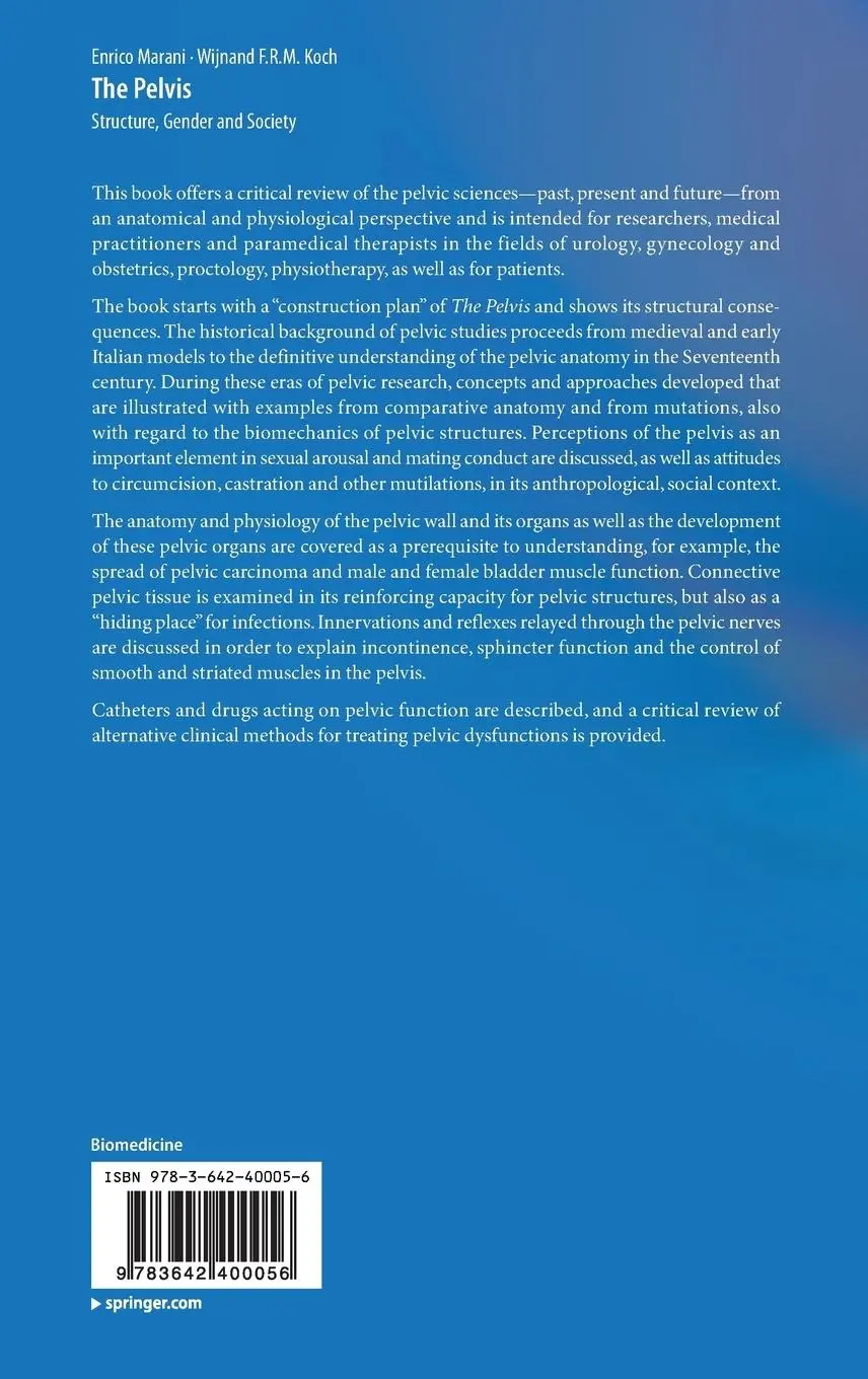 Rückseite: 9783642400056 | The Pelvis | Structure, Gender and Society | Koch (u. a.) | Buch