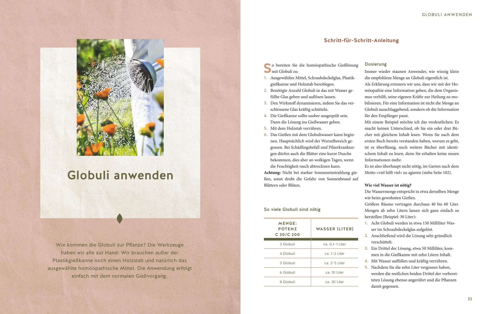 Bild: 9783833880056 | Naturgesunde Pflanzen durch Homöopathie | Christiane Maute (u. a.)