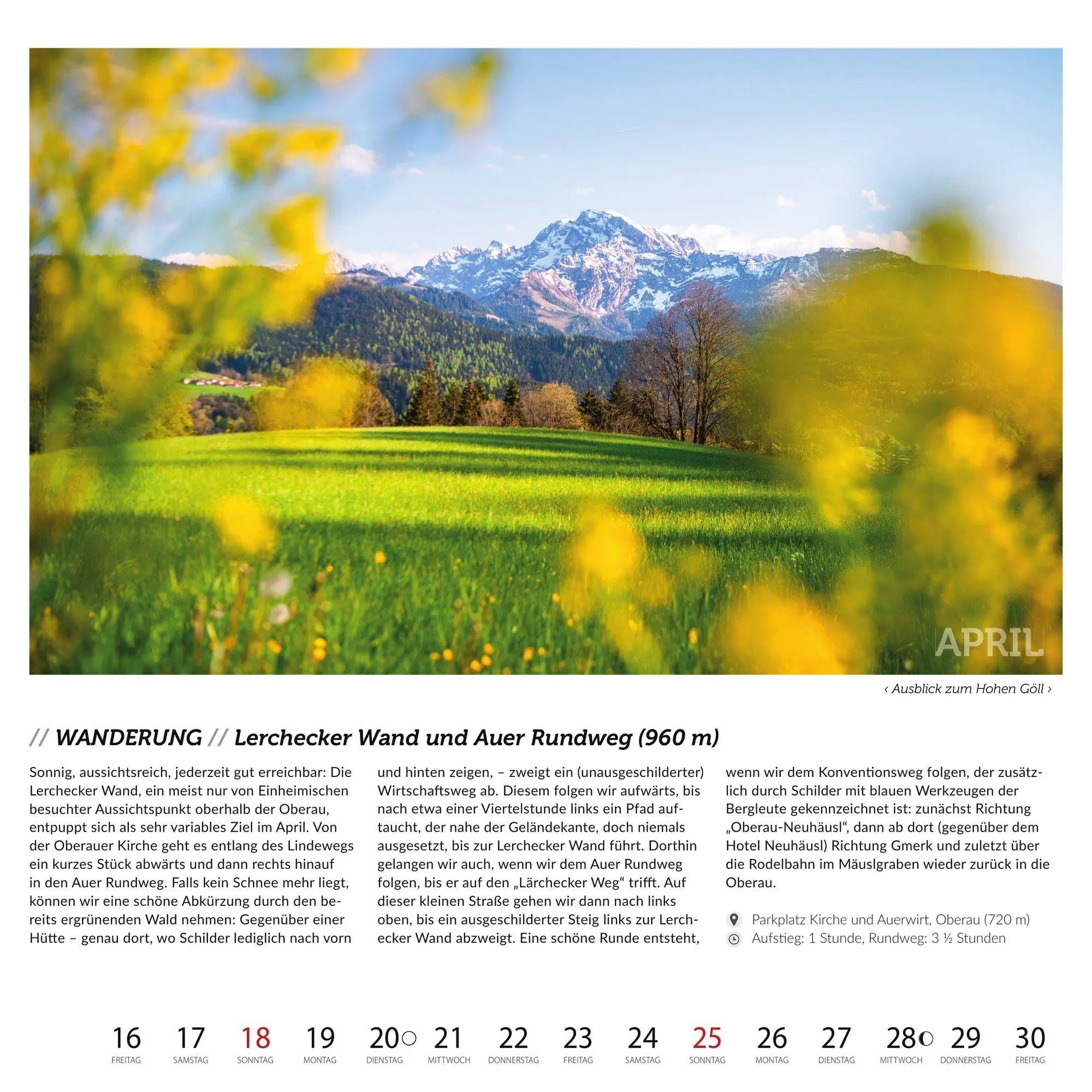 Bild: 9783985040056 | Berchtesgadener Bergsteigerkalender 2027 | Daniel | Kalender | 27 S.