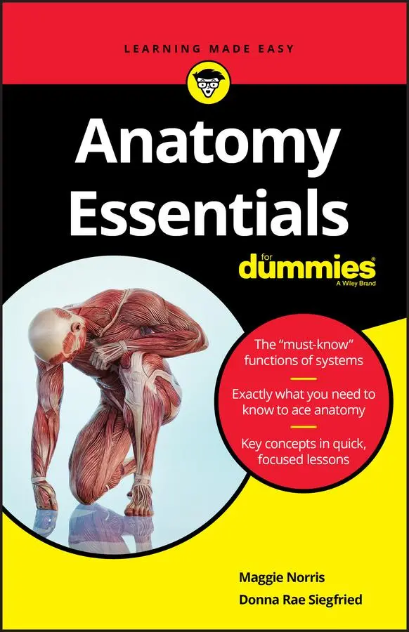 Cover: 9781119590156 | Anatomy Essentials for Dummies | Maggie A Norris (u. a.) | Taschenbuch