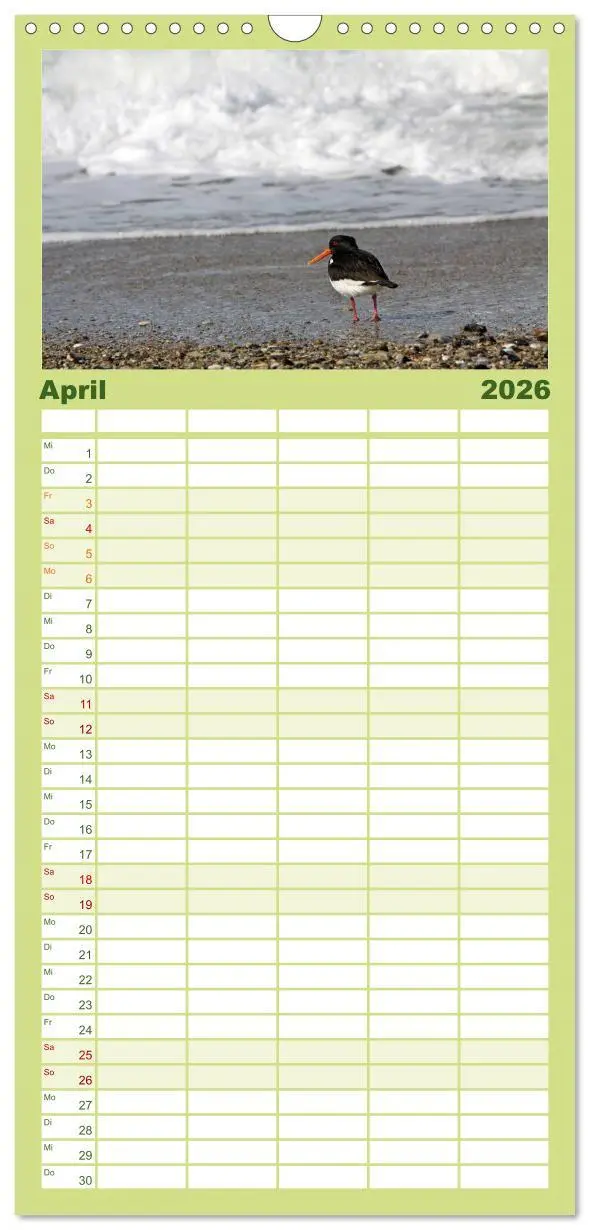 Bild: 9783516520156 | Familienplaner 2026 - Helgoland mit 5 Spalten (Wandkalender, 21 x...