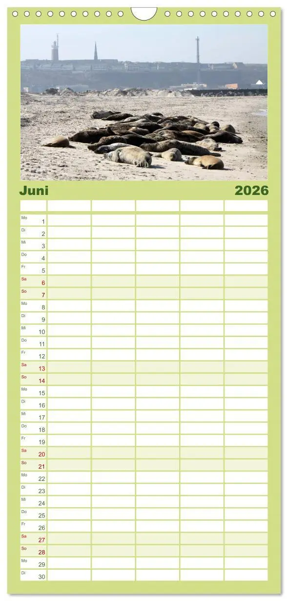 Bild: 9783516520156 | Familienplaner 2026 - Helgoland mit 5 Spalten (Wandkalender, 21 x...