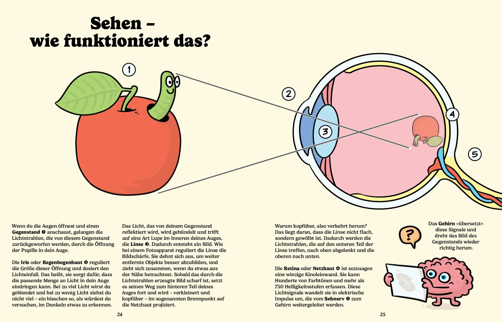 Bild: 9783039640256 | Brillante Brillen | Caroline Stevan | Buch | 80 S. | Deutsch | 2023