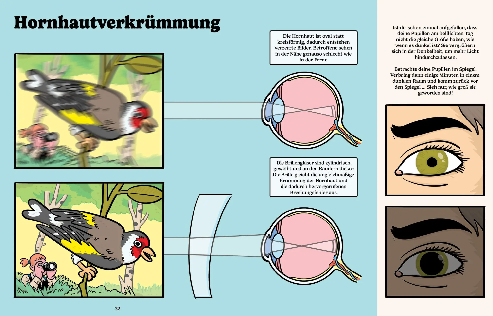 Bild: 9783039640256 | Brillante Brillen | Caroline Stevan | Buch | 80 S. | Deutsch | 2023