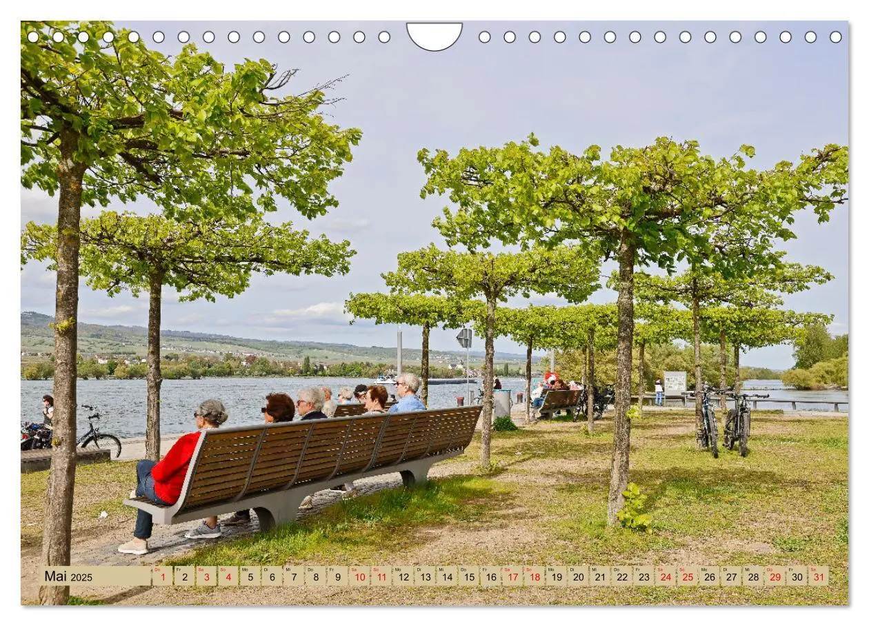 Bild: 9783435640256 | Ingelheim - Rotweinstadt am Rhein (Wandkalender 2025 DIN A4 quer),...