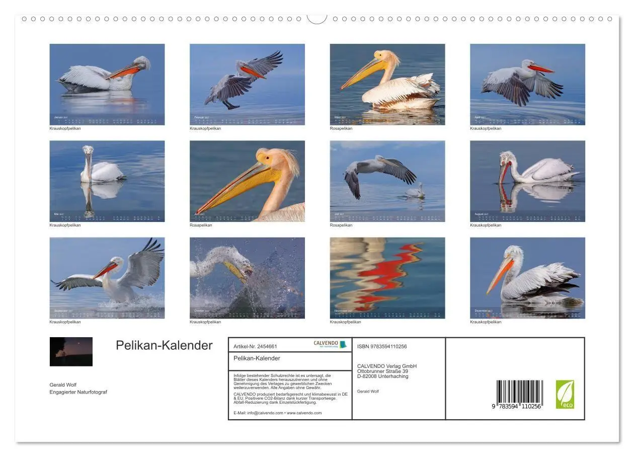 Bild: 9783594110256 | Pelikan-Kalender (hochwertiger Premium Wandkalender 2027 DIN A2...
