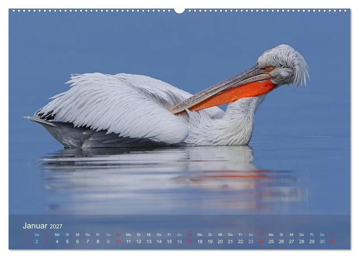 Bild: 9783594110256 | Pelikan-Kalender (hochwertiger Premium Wandkalender 2027 DIN A2...